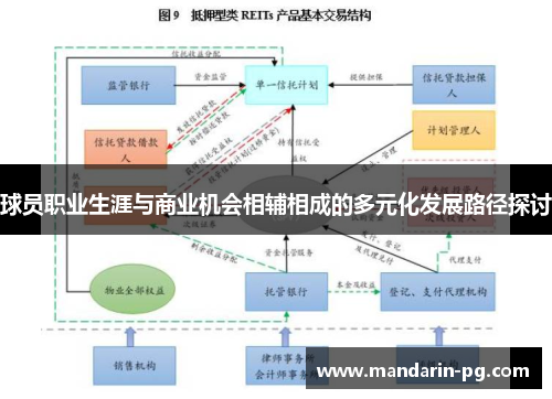 球员职业生涯与商业机会相辅相成的多元化发展路径探讨