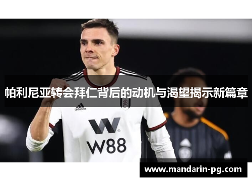 帕利尼亚转会拜仁背后的动机与渴望揭示新篇章