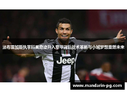 法布雷加斯执掌科莫奇迹升入意甲背后战术革新与小城梦想重燃未来