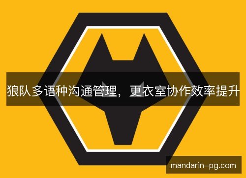 狼队多语种沟通管理，更衣室协作效率提升